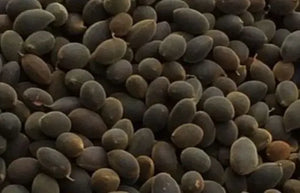 TAMARIND ICHEKU AWIN 100G - Afrobuy