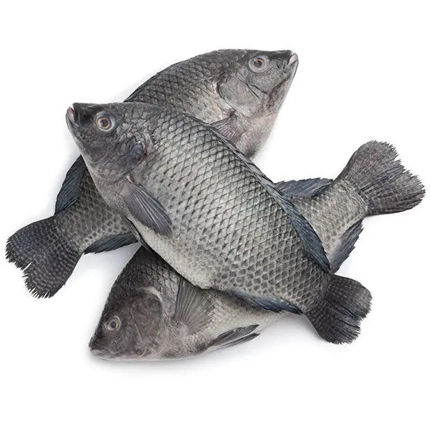 Frozen Tilapia Fish 300500 (Gutted & Scaled) 2.5kg