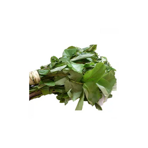 Fresh Oha Leaves x 1 bunch