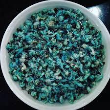 Periwinkle (Frozen/Wet) 100g