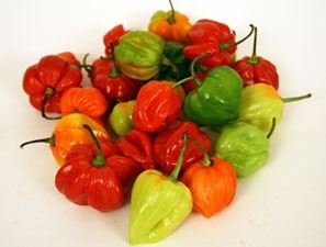 Scotch Bonnet Peppers 1kg