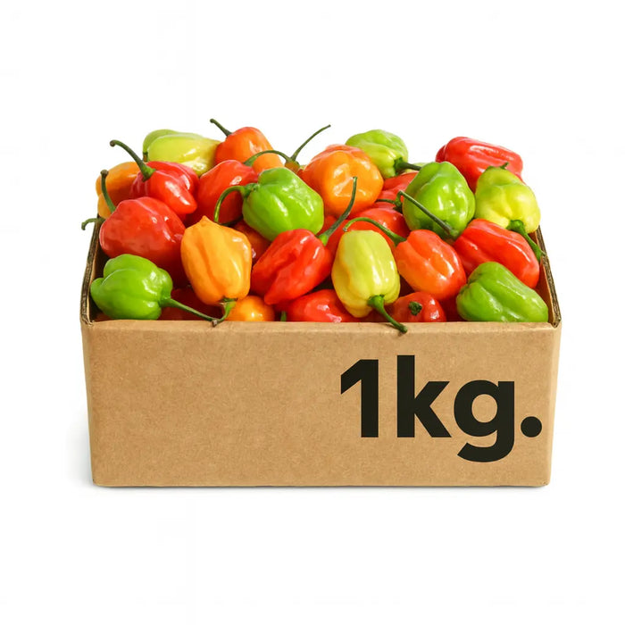Scotch Bonnet Peppers – 1kg
