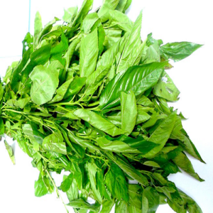Ewedu Leaves (Jute Leaves) x 1 Bunch