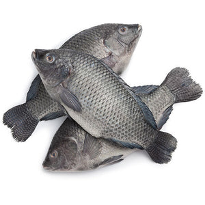 Tilapia Fish Whole(Uncut)