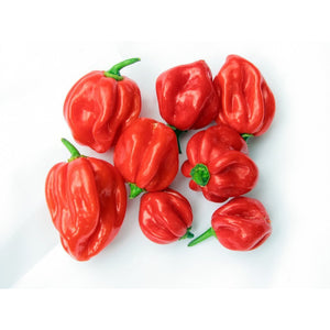 Scotch bonnet chilli Peppers(Hot pepper) 150g