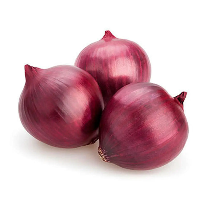 RedOnion_800x.jpg?v=1756998120