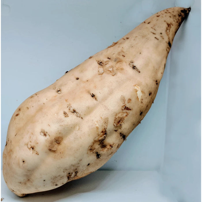 White Sweet Potatoes (Uganda) 1KG